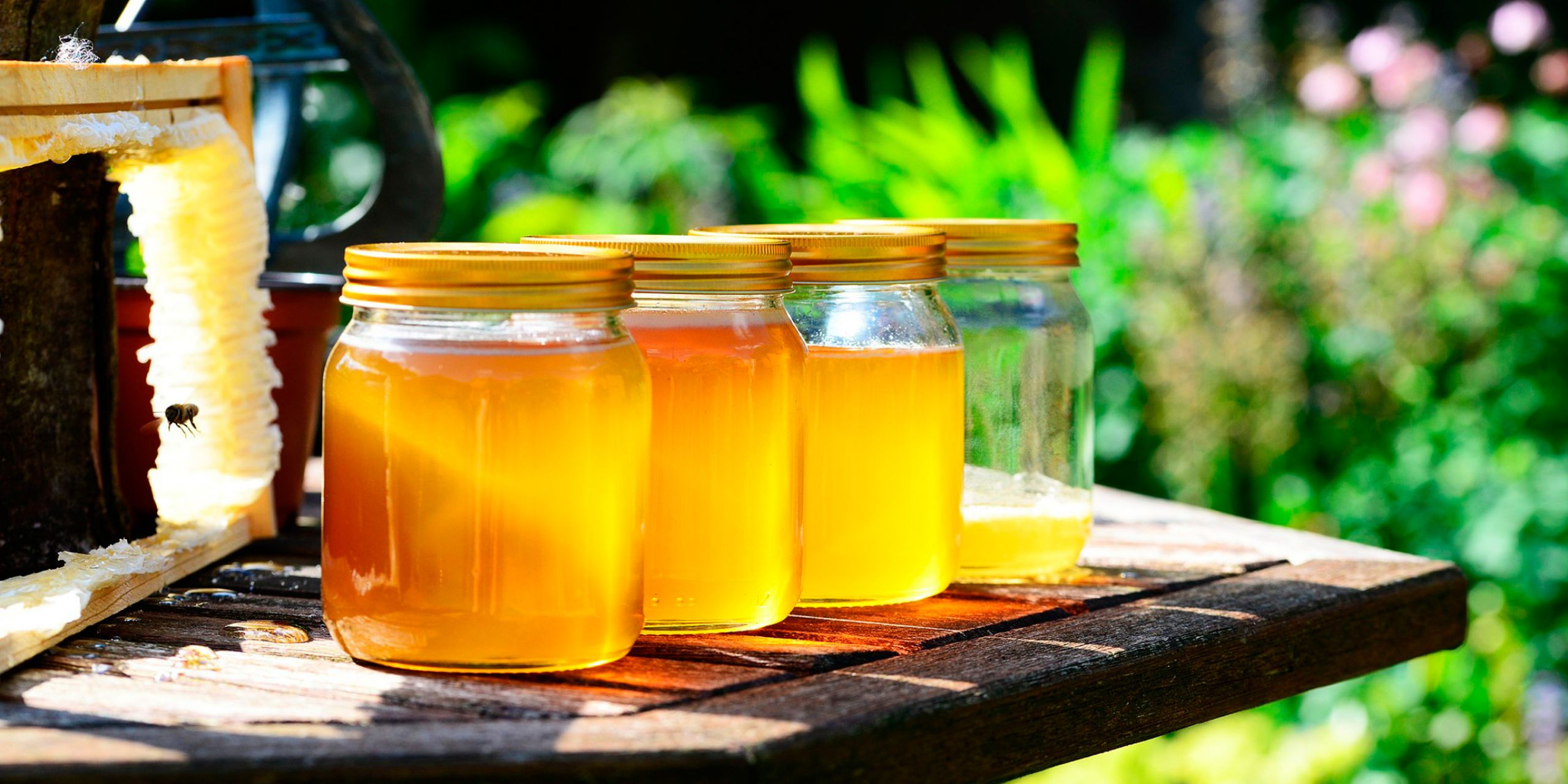 Guatemalan Polyflora Honey