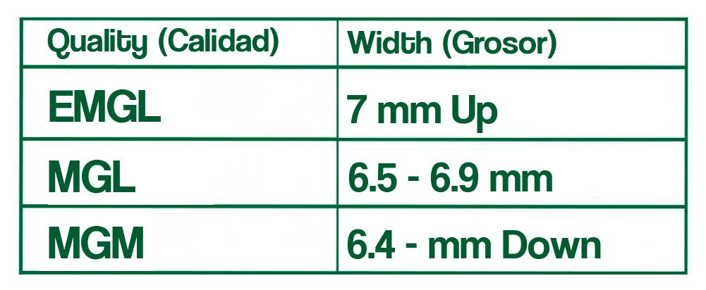 PALE GREEN PODS (GRANO VERDE PÁLIDO, SEGUNDAS).