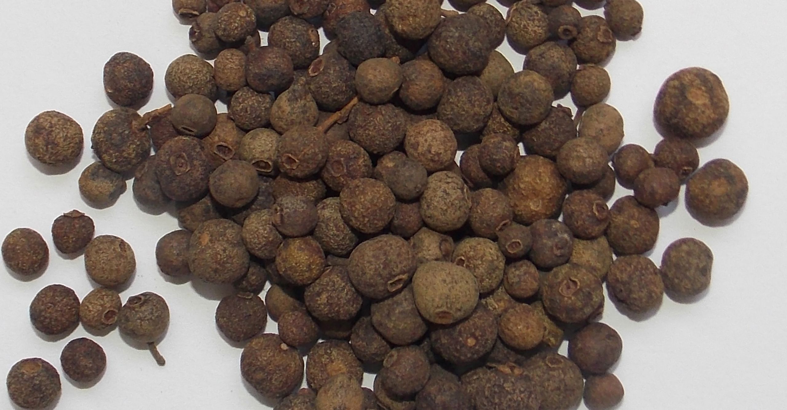 Allspice Pimento